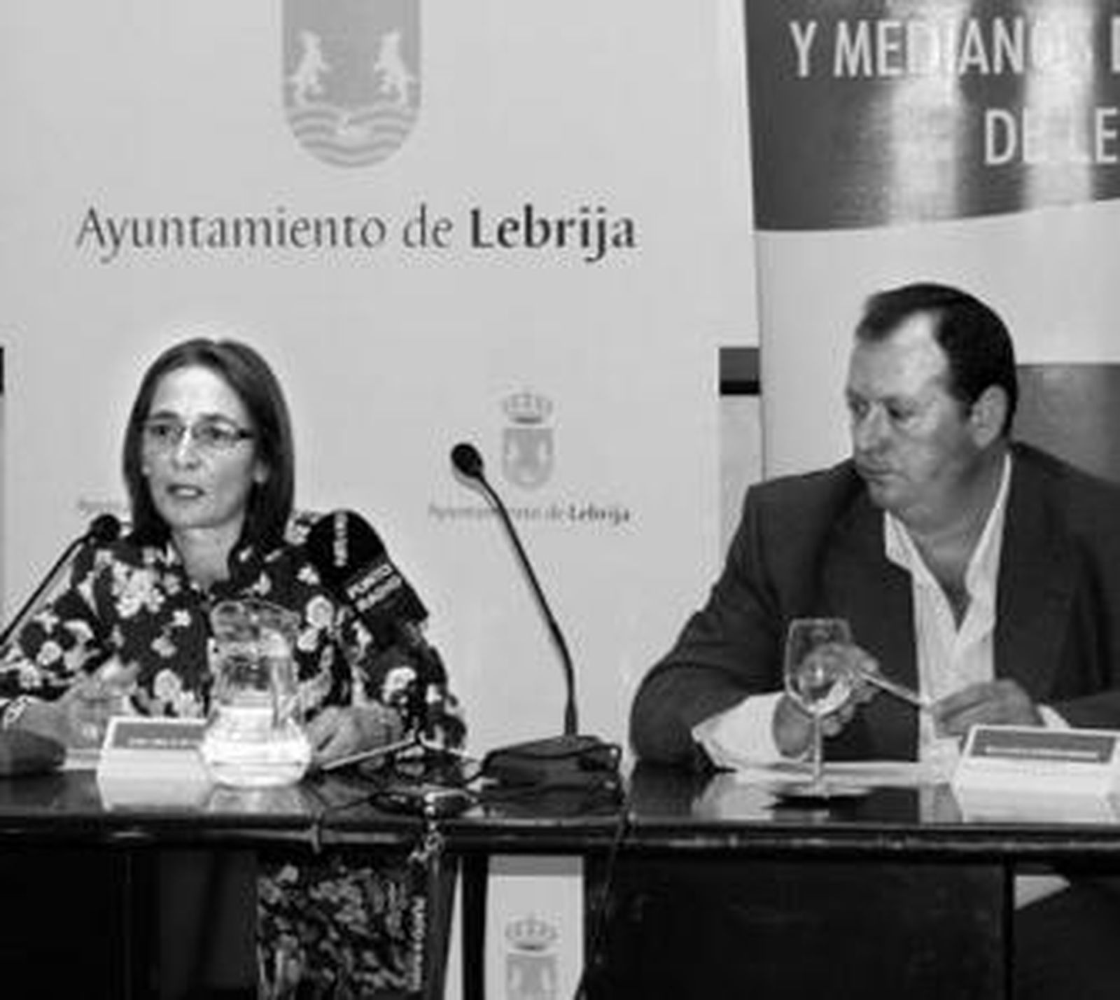 Lebrija exhibe sus activos