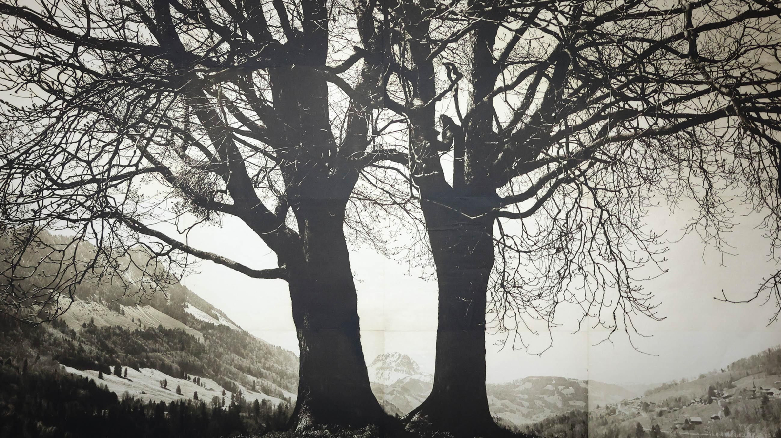 María Puyol expone su obra en el Campus de Jerez