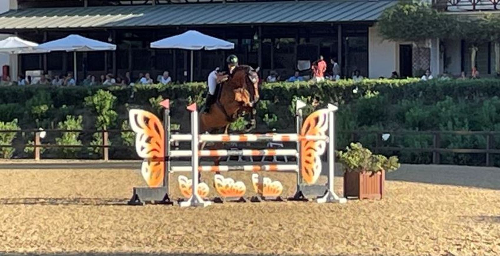 Un momento del concurso celebrado en el Santa María Equestrian