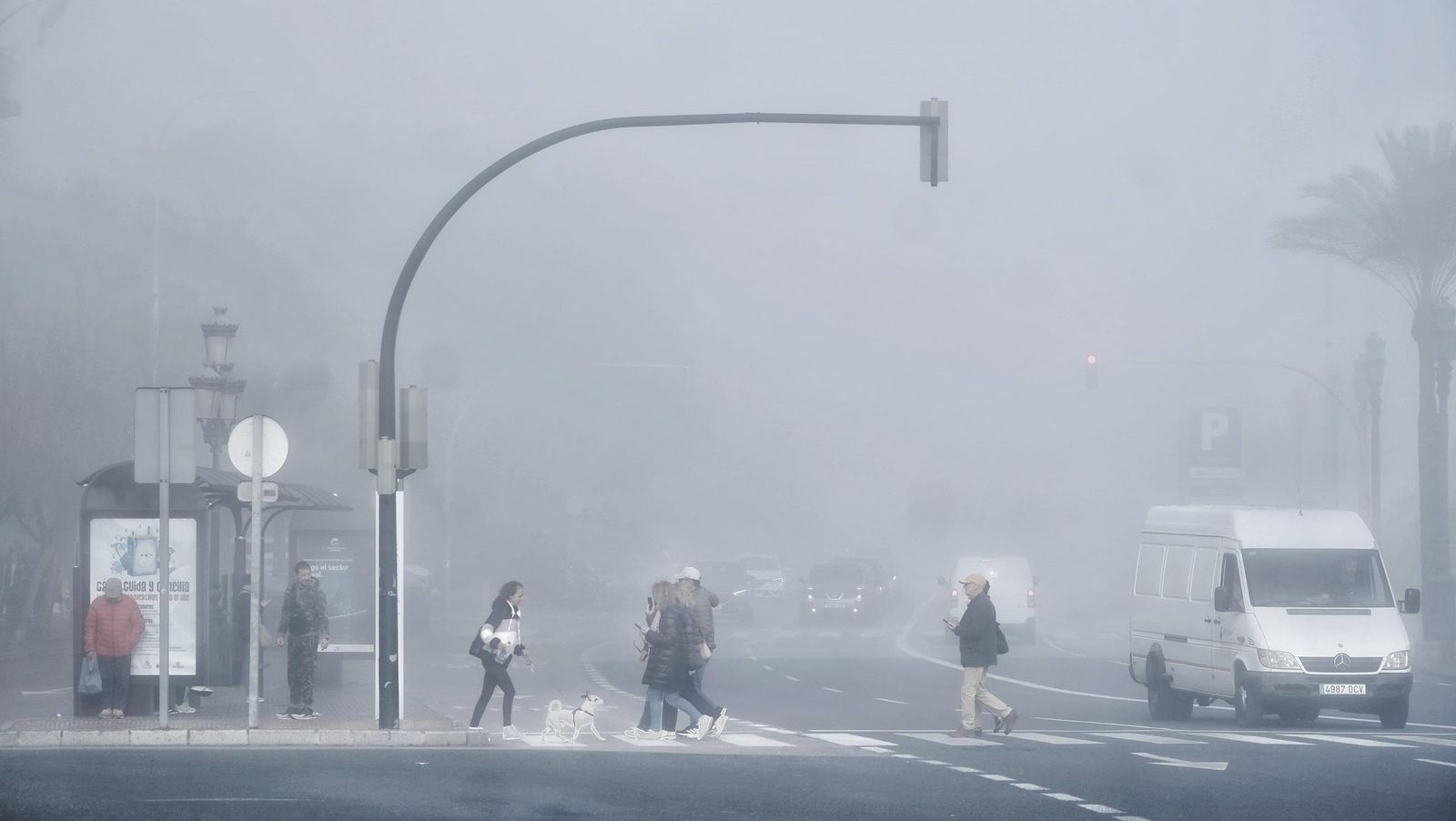 La niebla invade Cádiz
