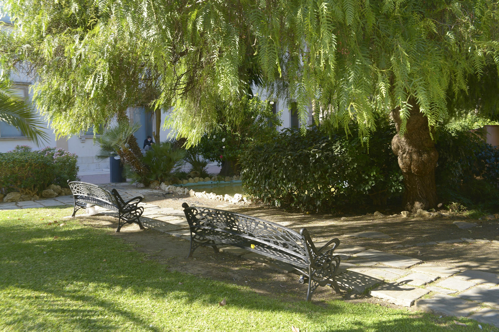 Fotos de los jardines Saccone en La Línea