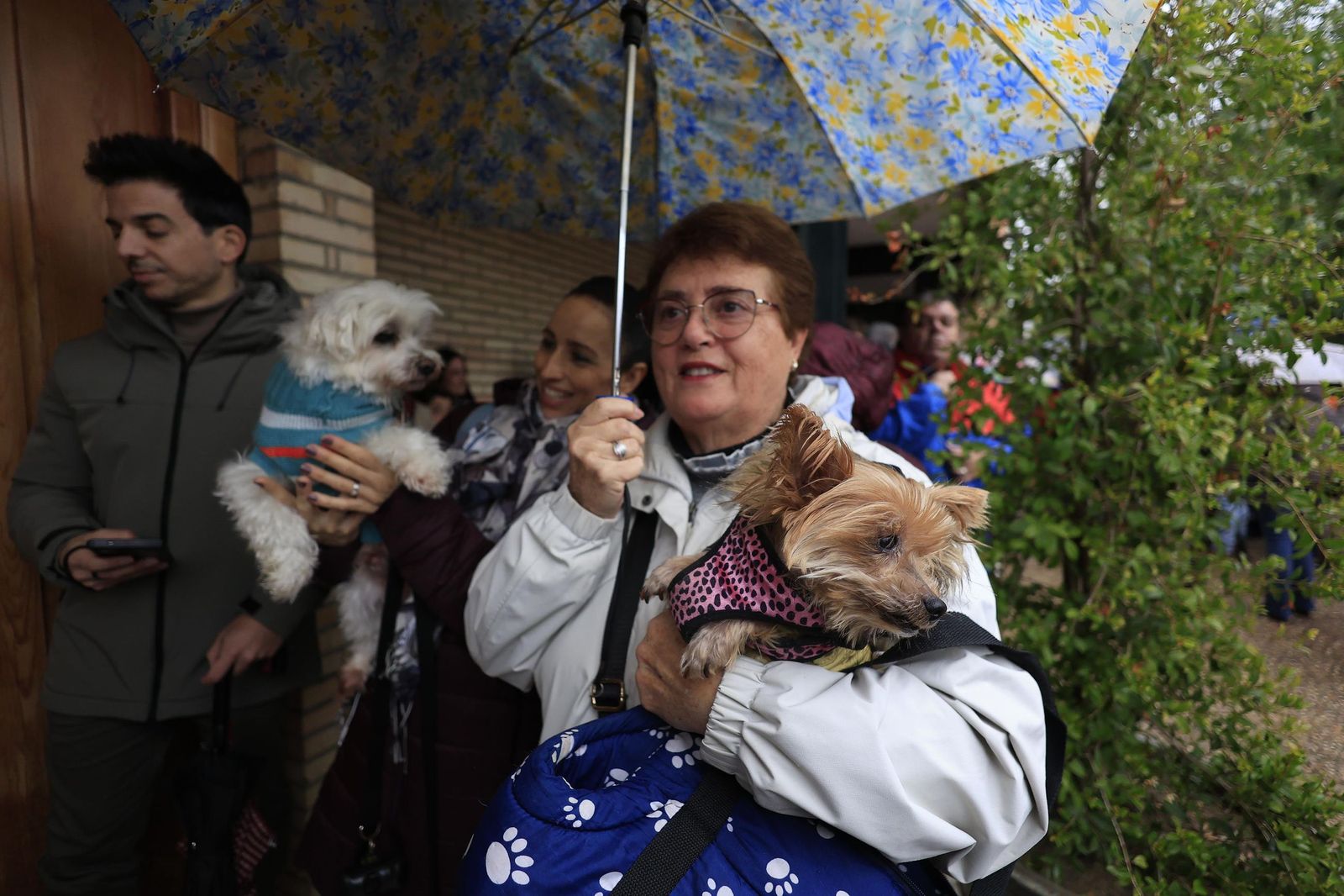 Las fotografías de la bendición de las mascotas por San Antón 2026
