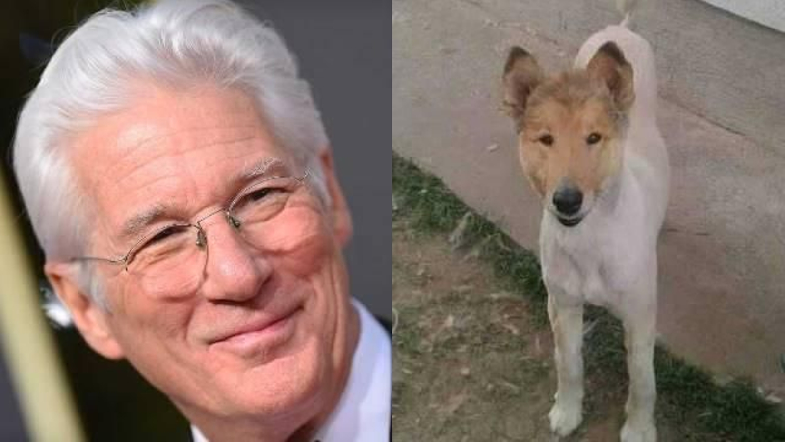 Éste tiene los ojos achinados de Richard Gere.