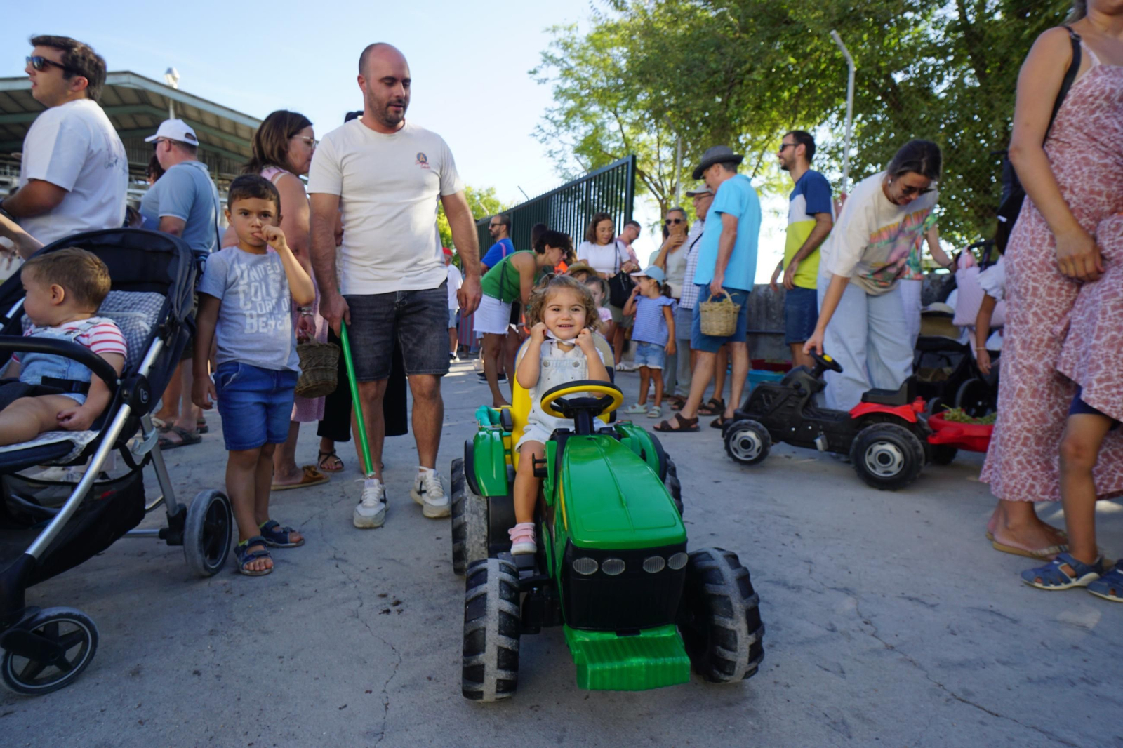 Vendimia infantil de Montilla