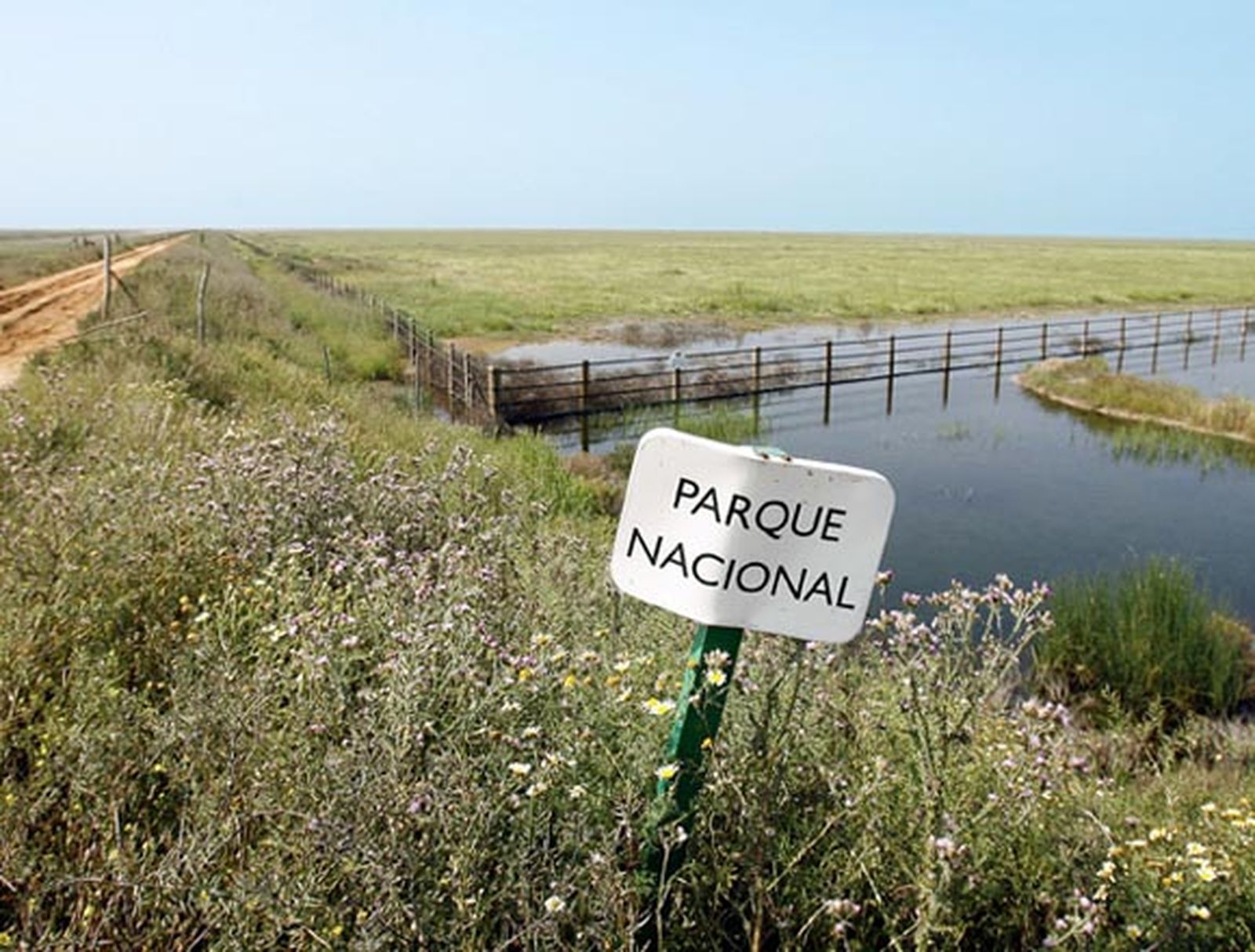 La Audiencia confirma que ACS, Intecsa y Geosisa no son responsables del vertido de Doñana