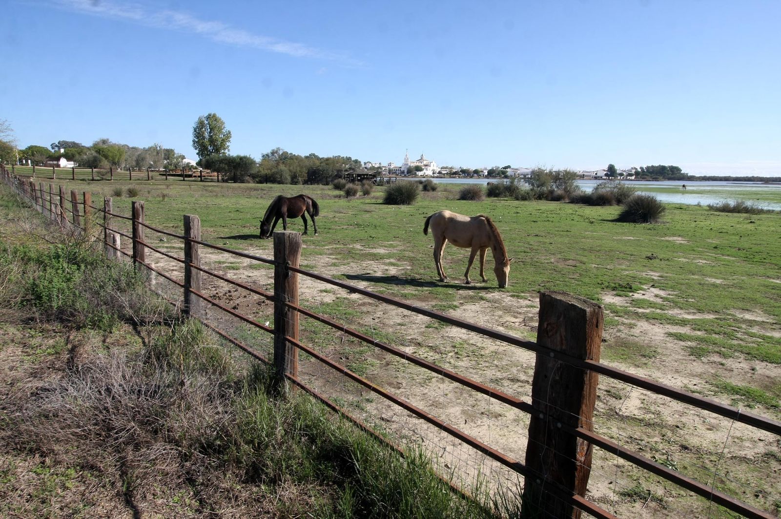 Imágenes de la marisma de El Rocío y de la laguna de El Portil tras las últimas lluvias