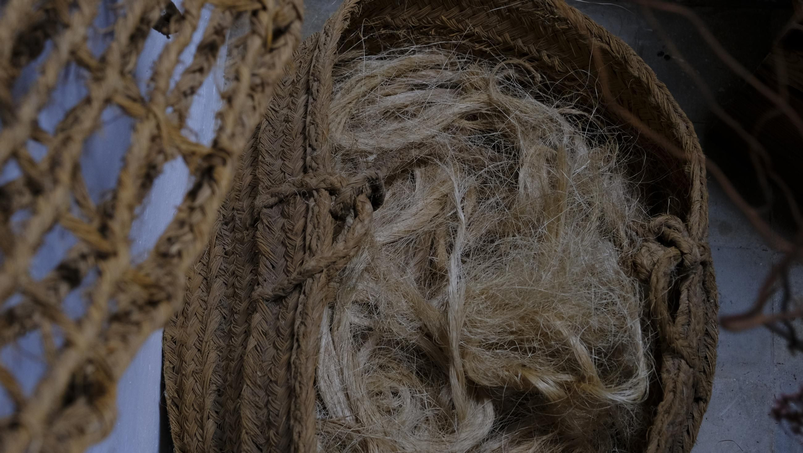 Recorrido por el cortijo El Romeral con 1200 cabras celtibéricas, en imágenes