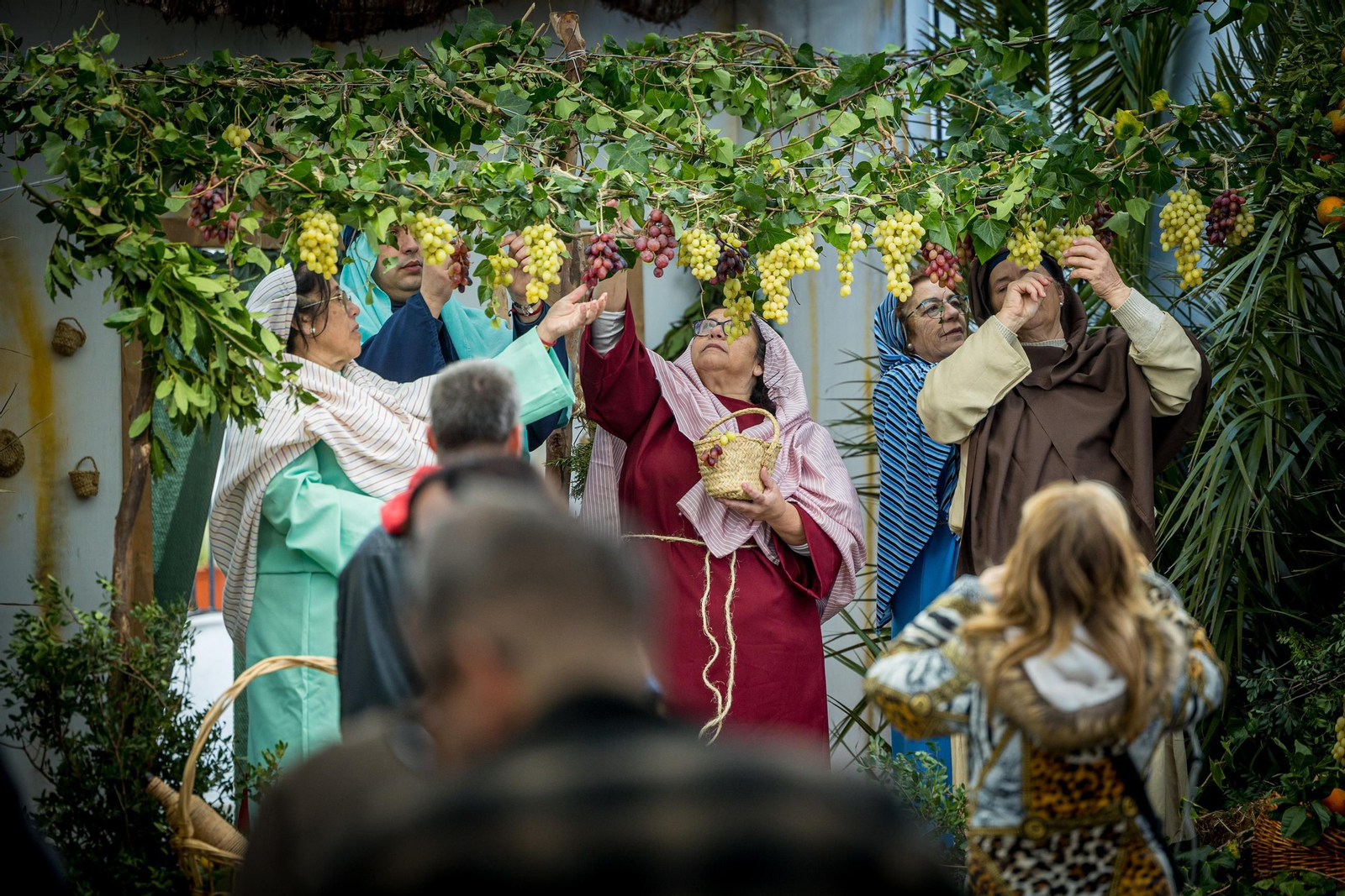 Las imágenes del belén viviente de Medina 2025