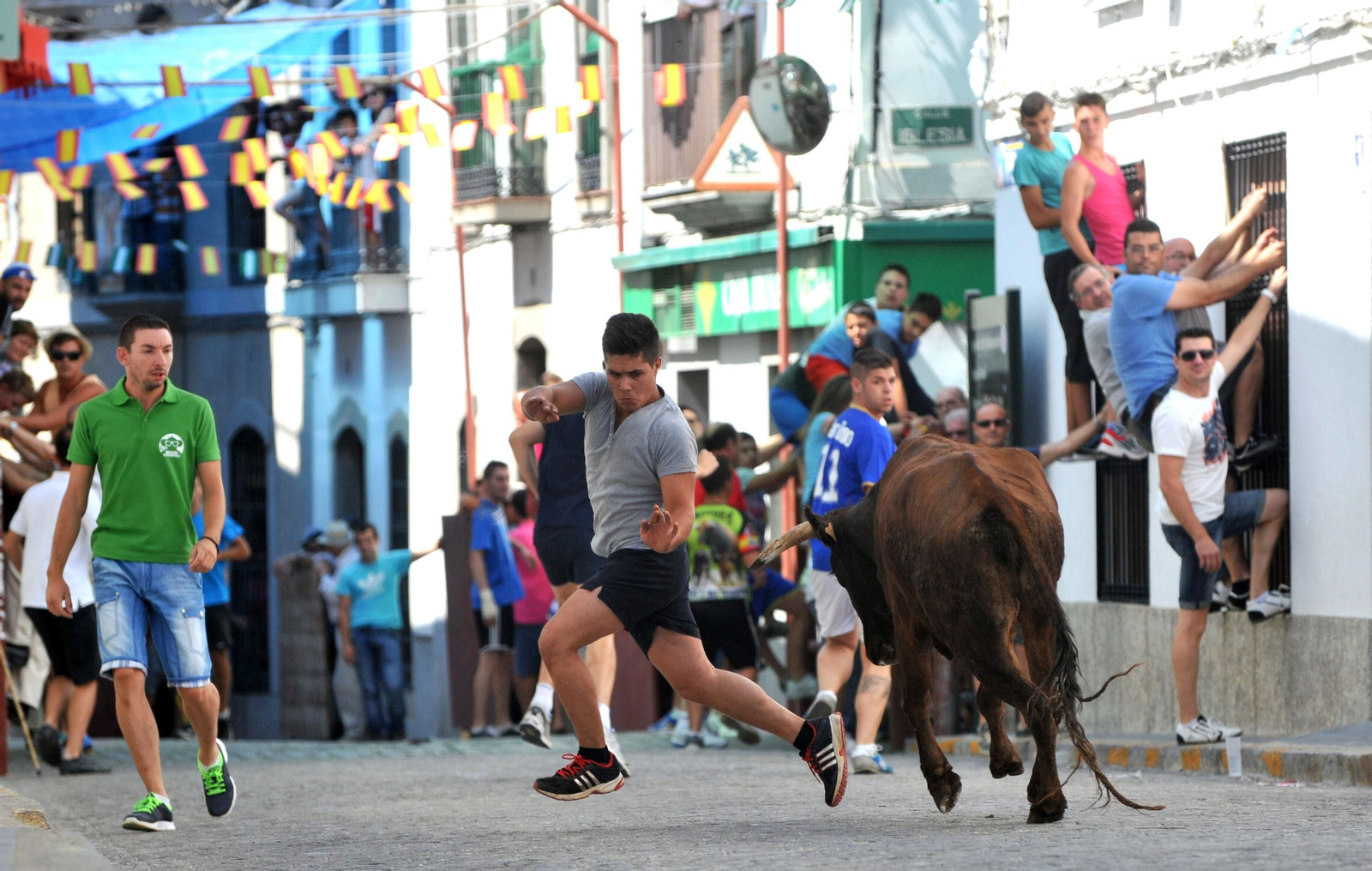 Encierro taurino por Santa Ana en El Viso.