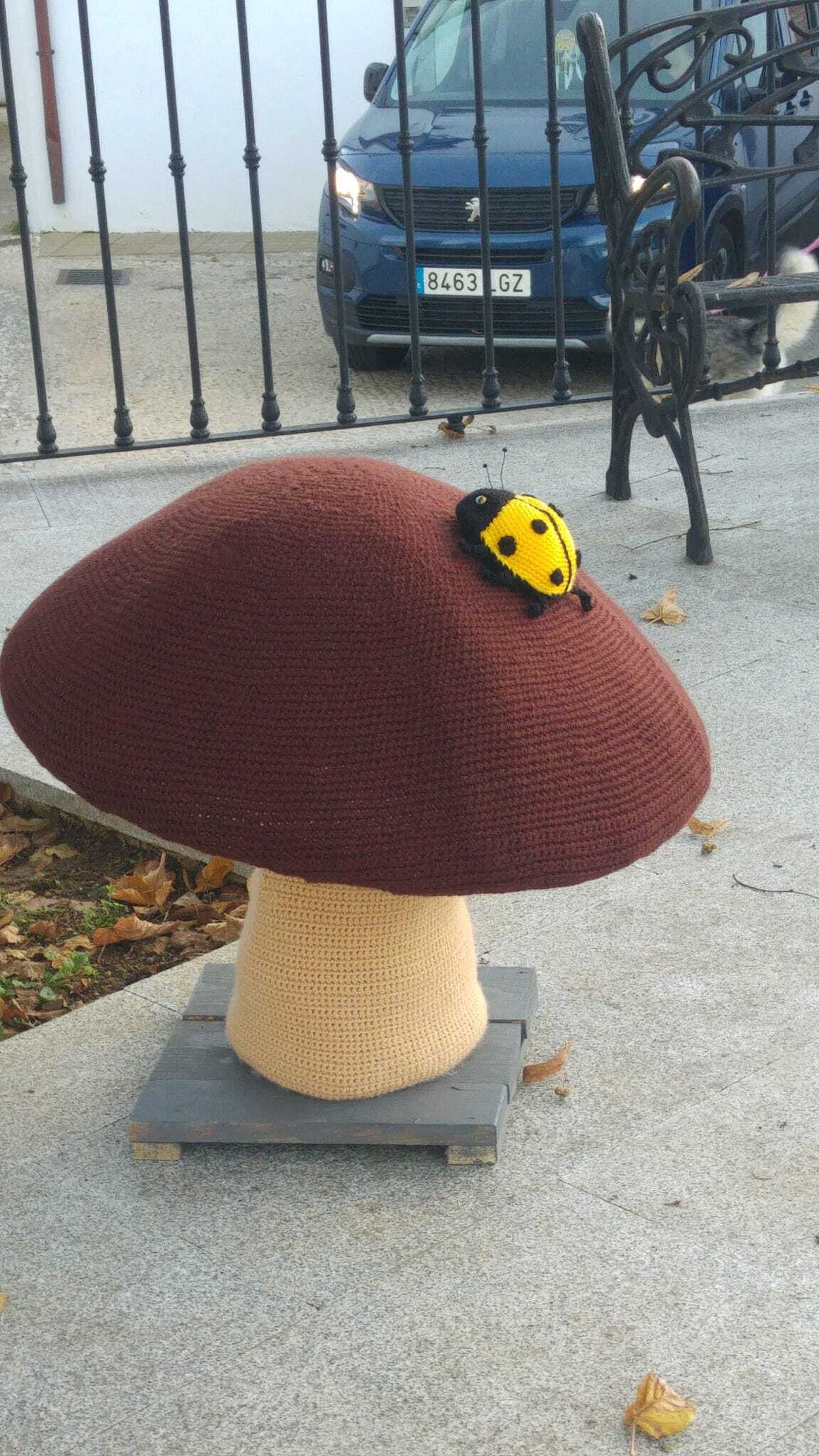 Detalle de una seta.