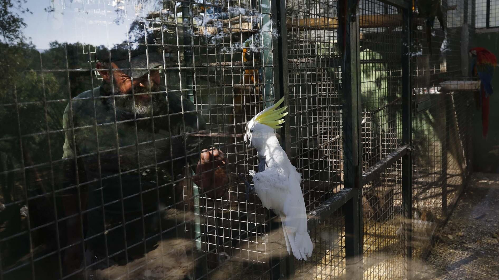 Las fotos del Zoo de Castellar de la Frontera