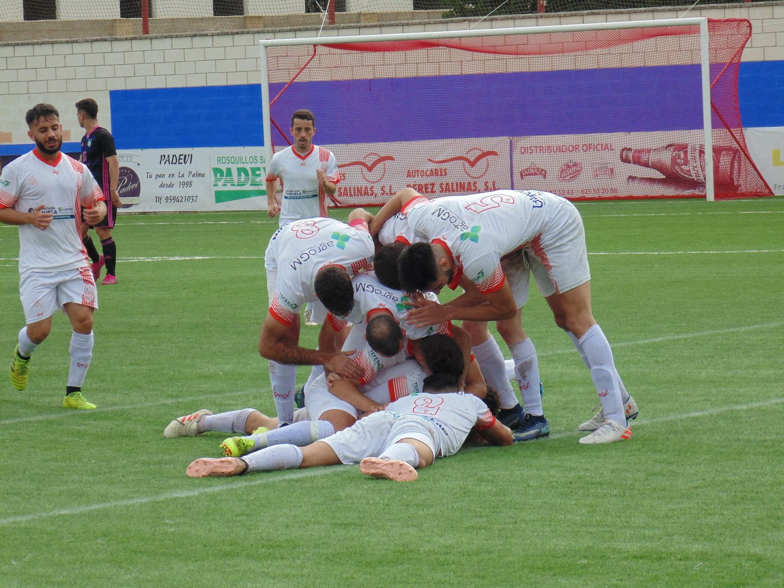Los jugadores de La Palma celebran el tanto conseguido por Álex Pérez.