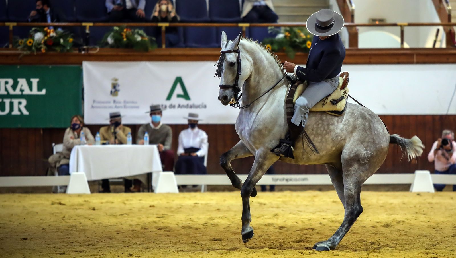 XIV Copa del Rey de Doma Vaquera y exhibición de la Real Escuela Andaluza del Arte Ecuestre