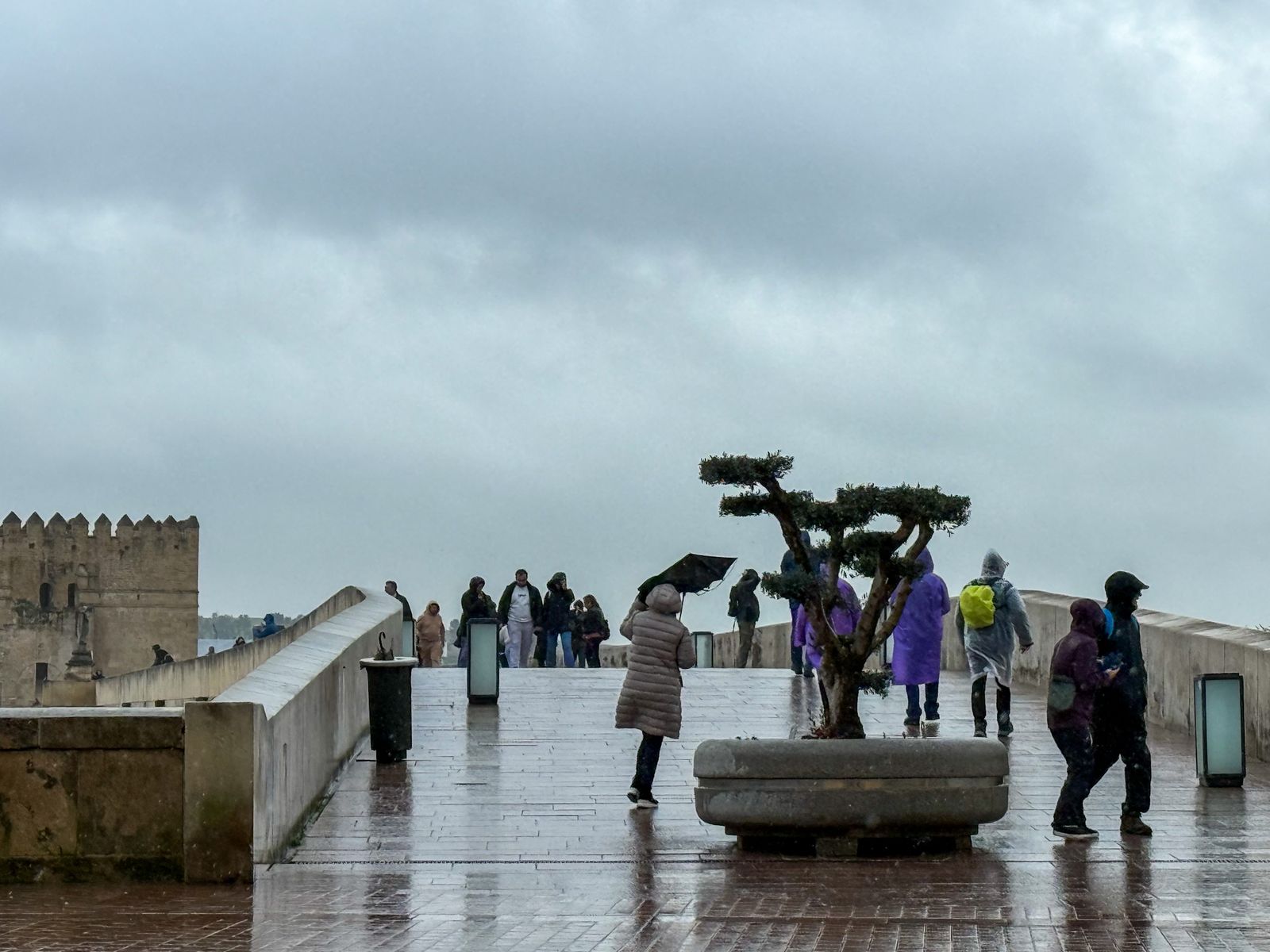 Las fuertes rachas de viento y la lluvia dejan las calles de Córdoba vacías
