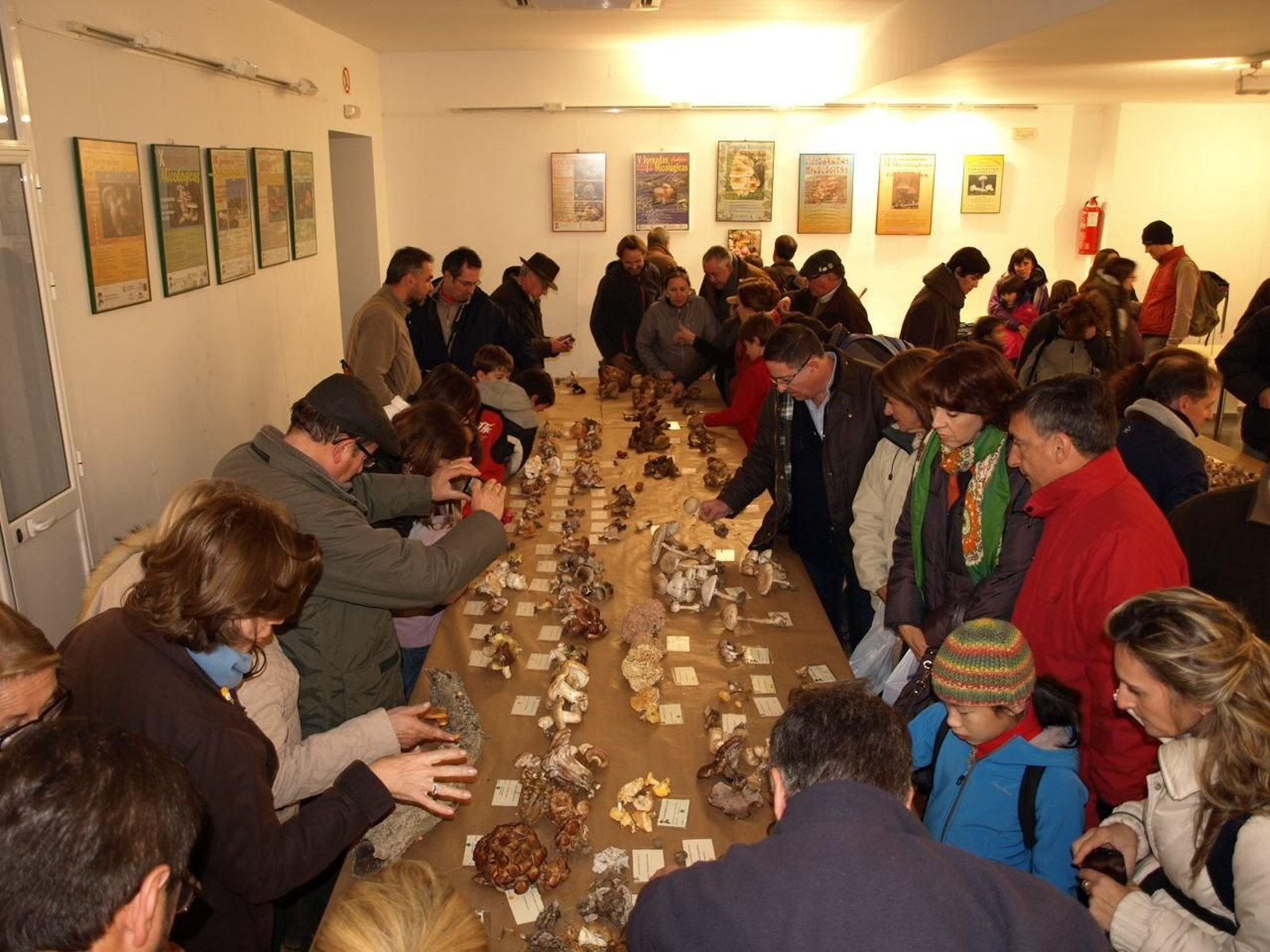 Ediciones anteriores de las Jornadas micológicas de Constantina