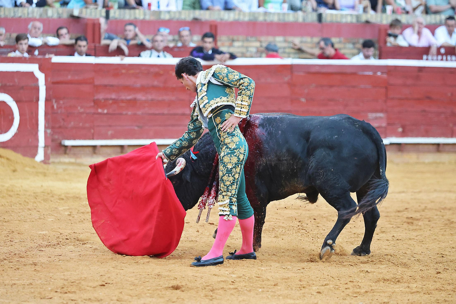 Toros La Merced 2024 Novillada con picadores(