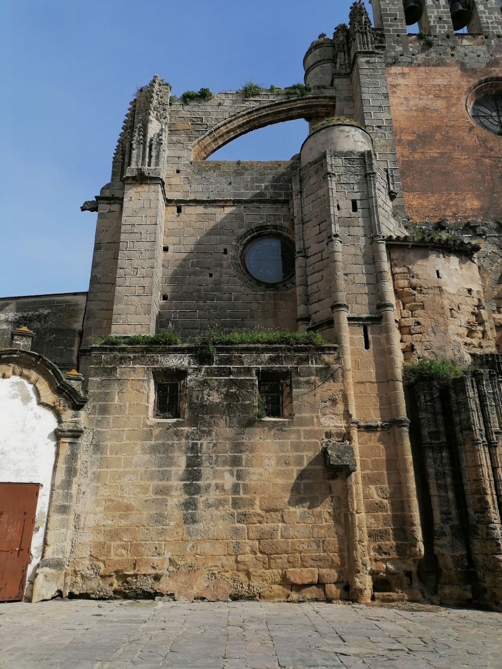 Detalle de algunas de las plantas invasivas en una de las fachadas.