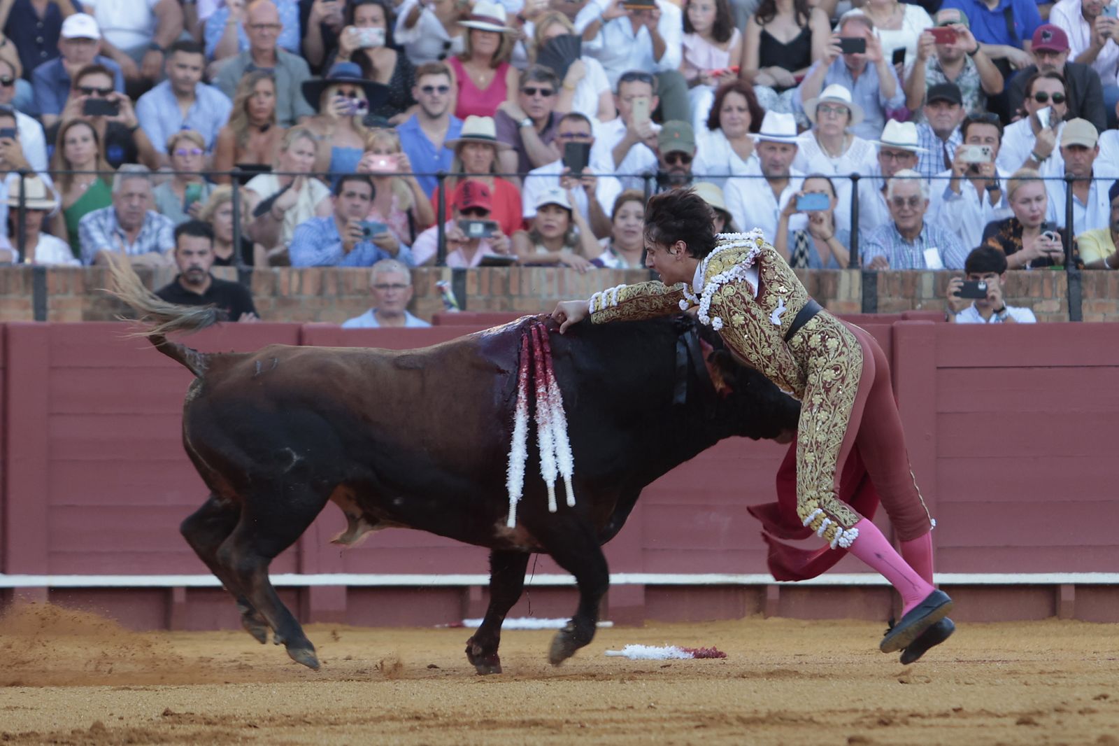 El triunfo de Castella en imágenes