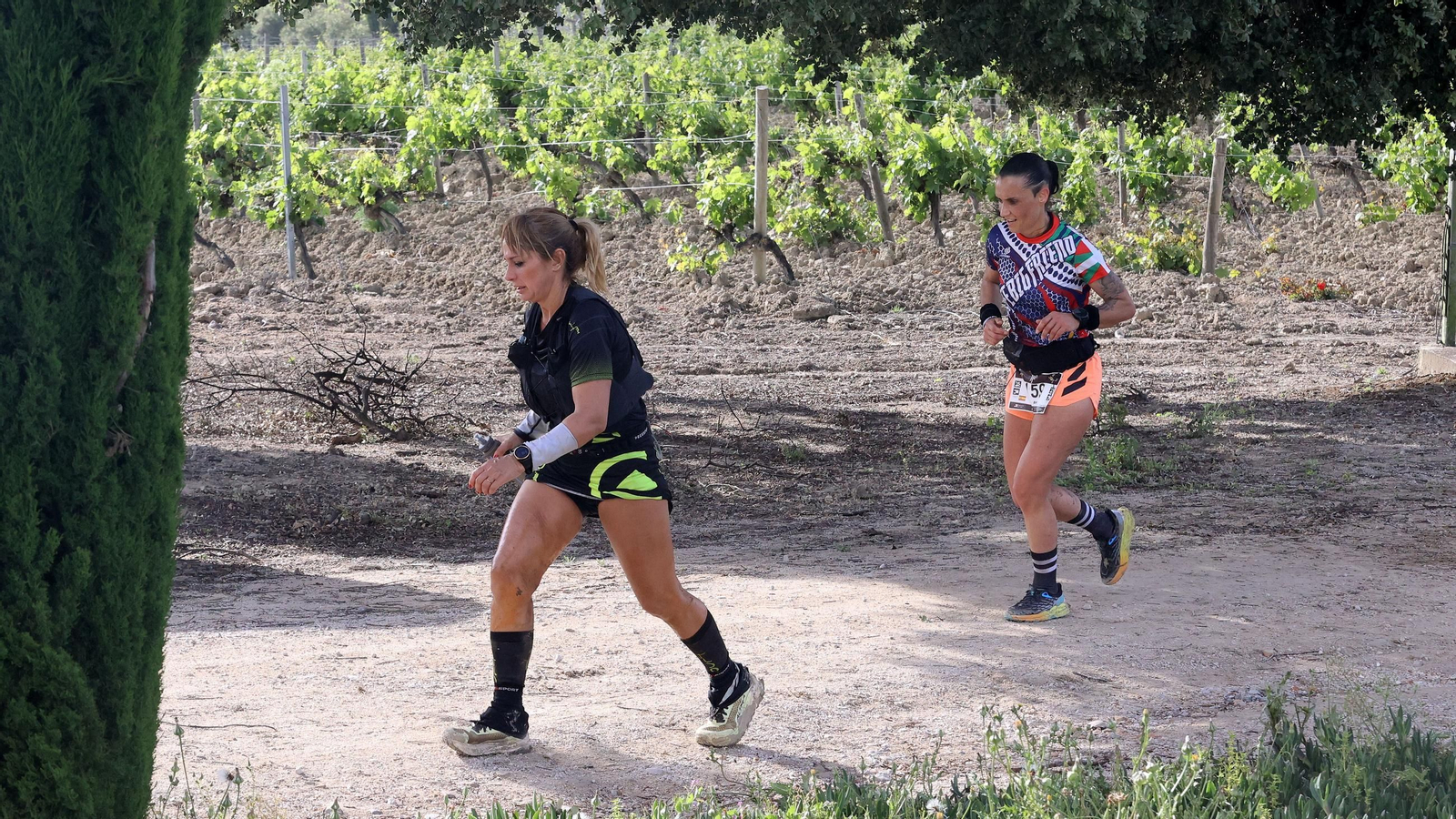 Búscate en la Sherry Maratón 2025 de Jerez (I)