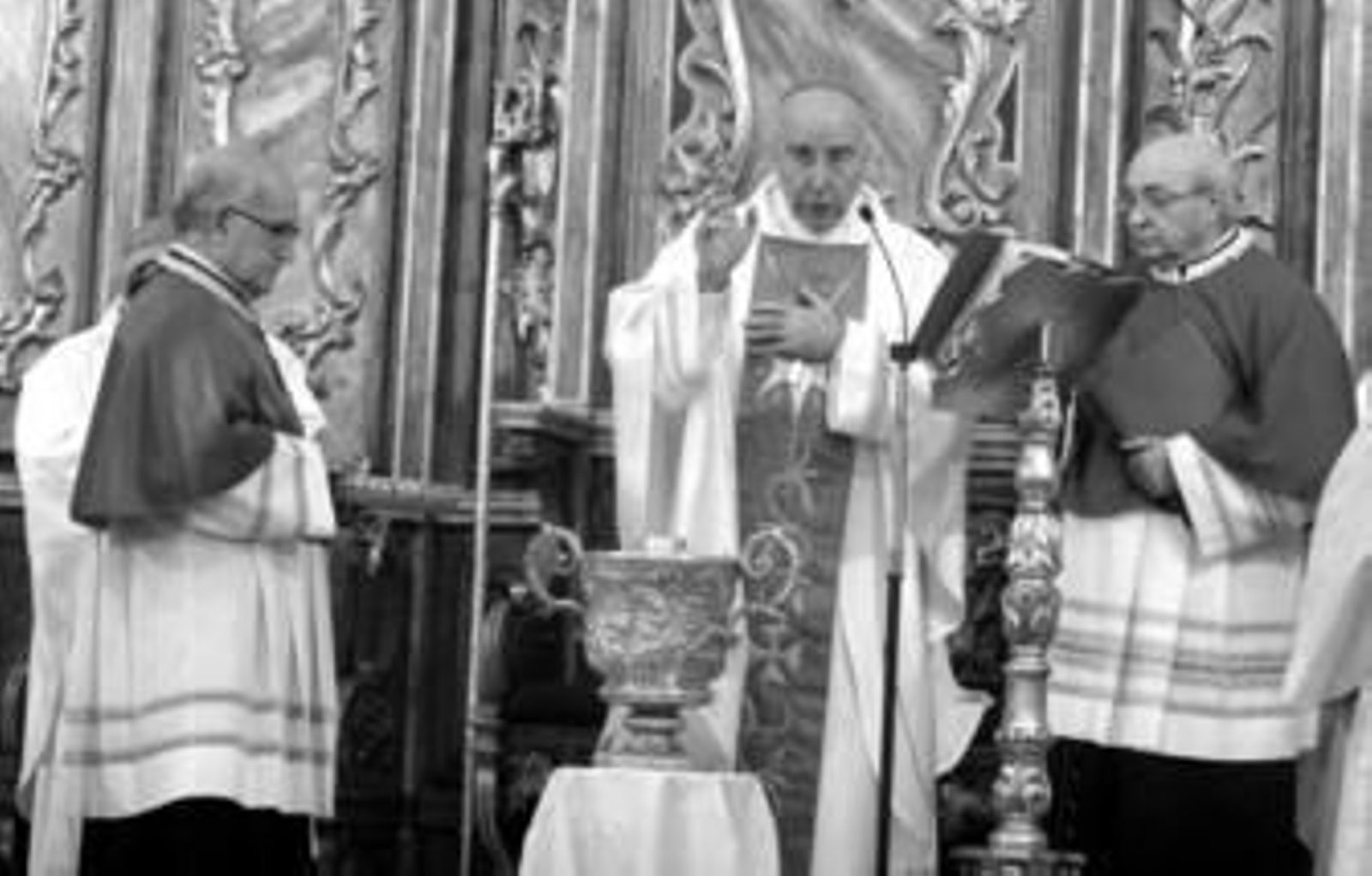 El aceite de la vida