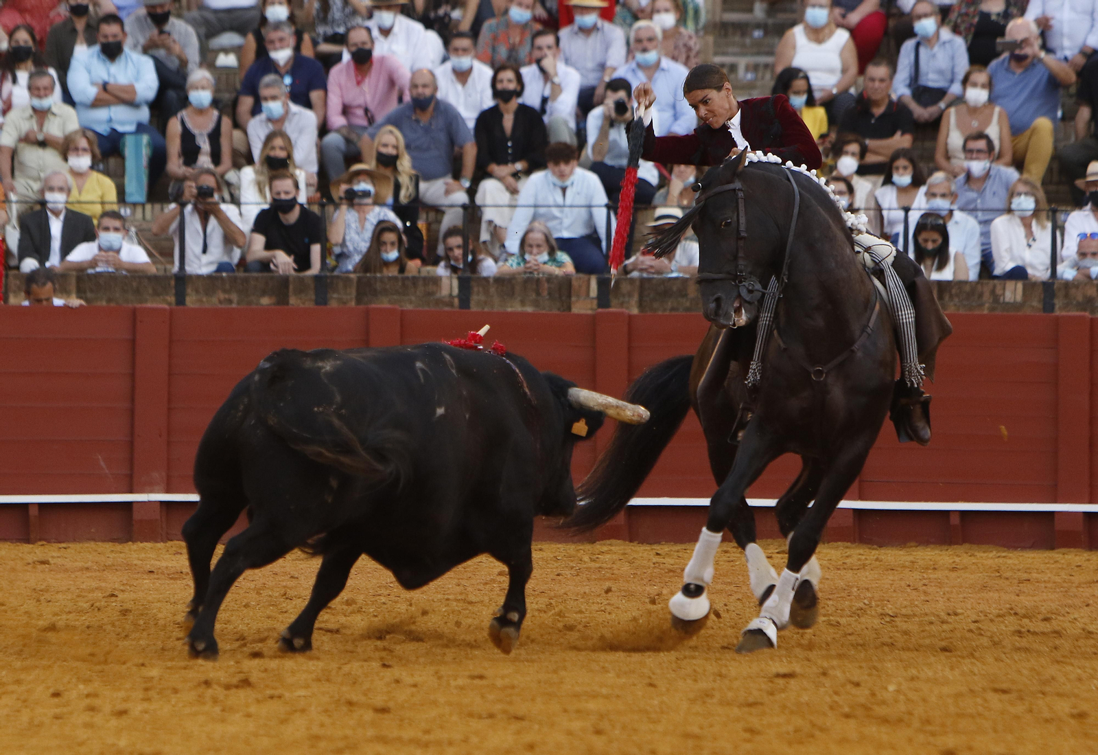 Toros. Corrida de rejones