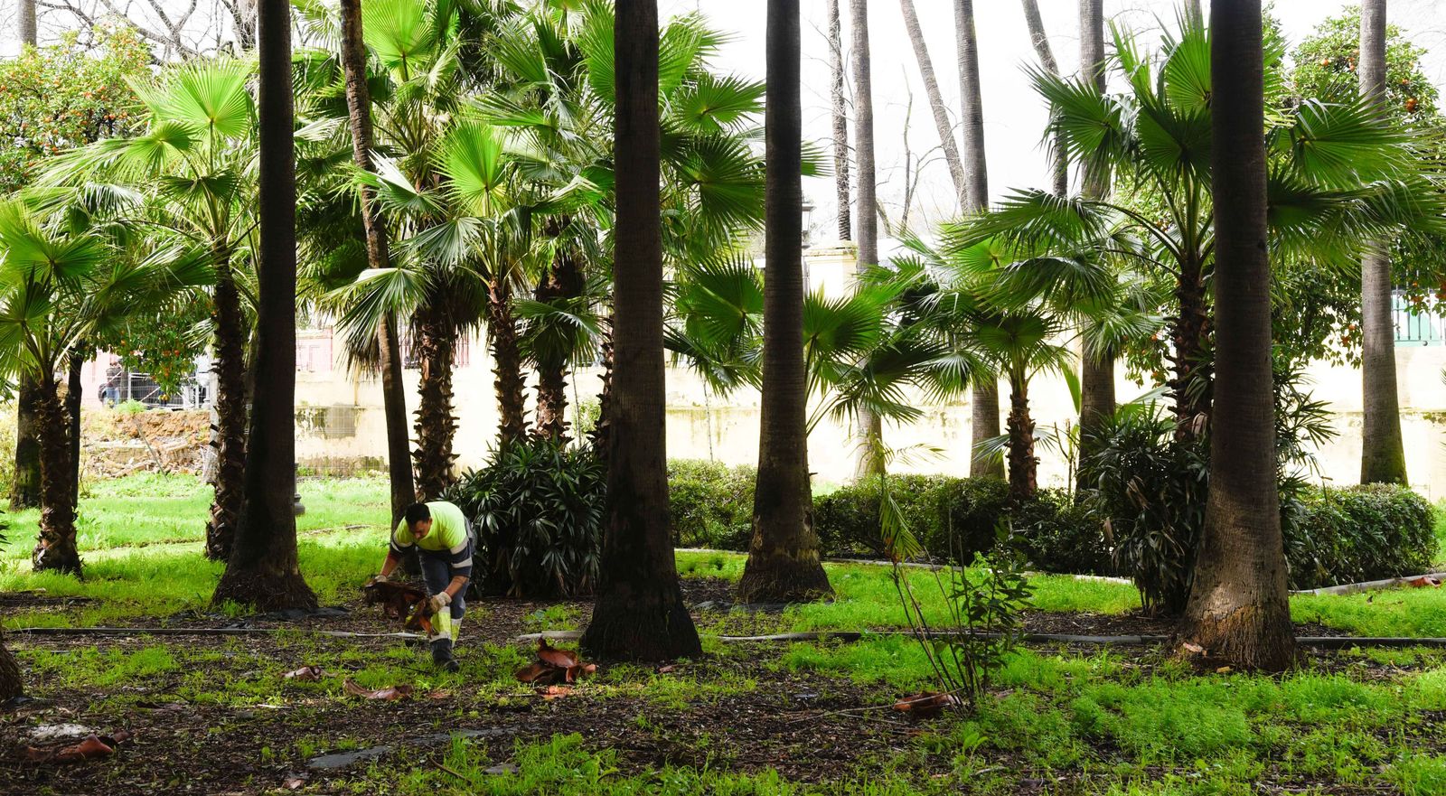 Fotografías del entorno del Teatro Lope de Vega