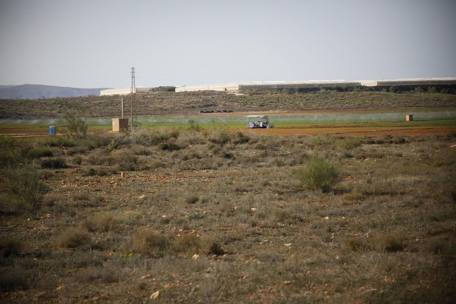 CUCN visita la desaladora de Carboneras y las balsas de Níjar