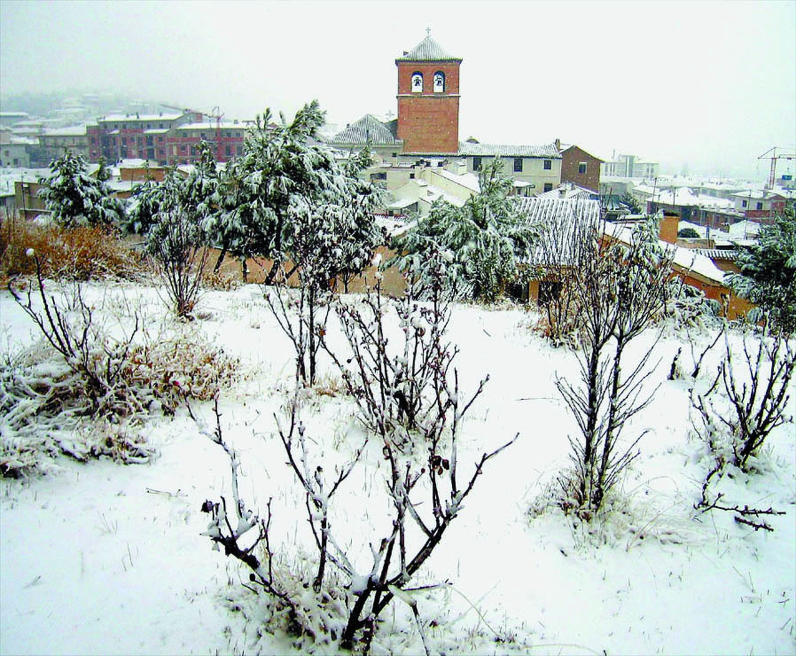 Nevada en Baza, en una imagen de archivo.