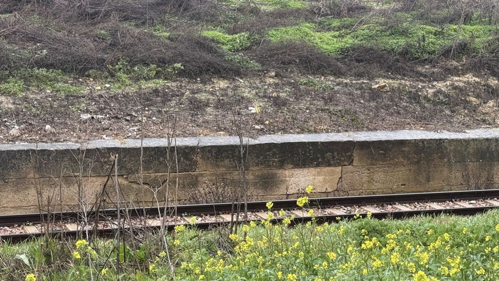 El muro con riesgo de caída junto a las vías del tren de Media Distancia en la provincia de Sevilla.