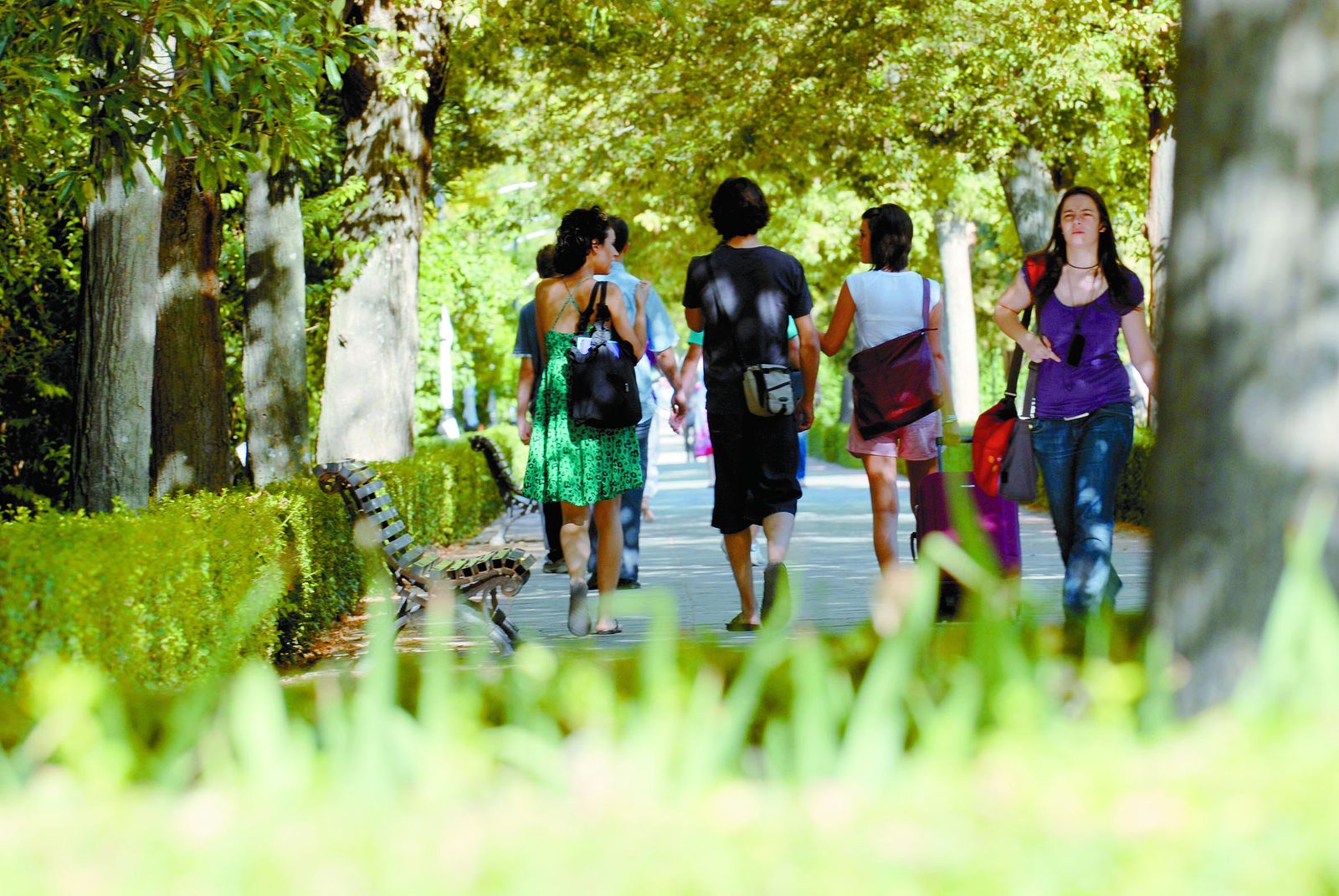 Varios jóvenes salen de estudiar de la biblioteca en Granada | Imagen de archivo