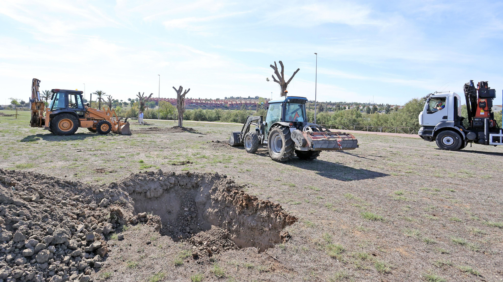 Traslado de los árboles de Chapín