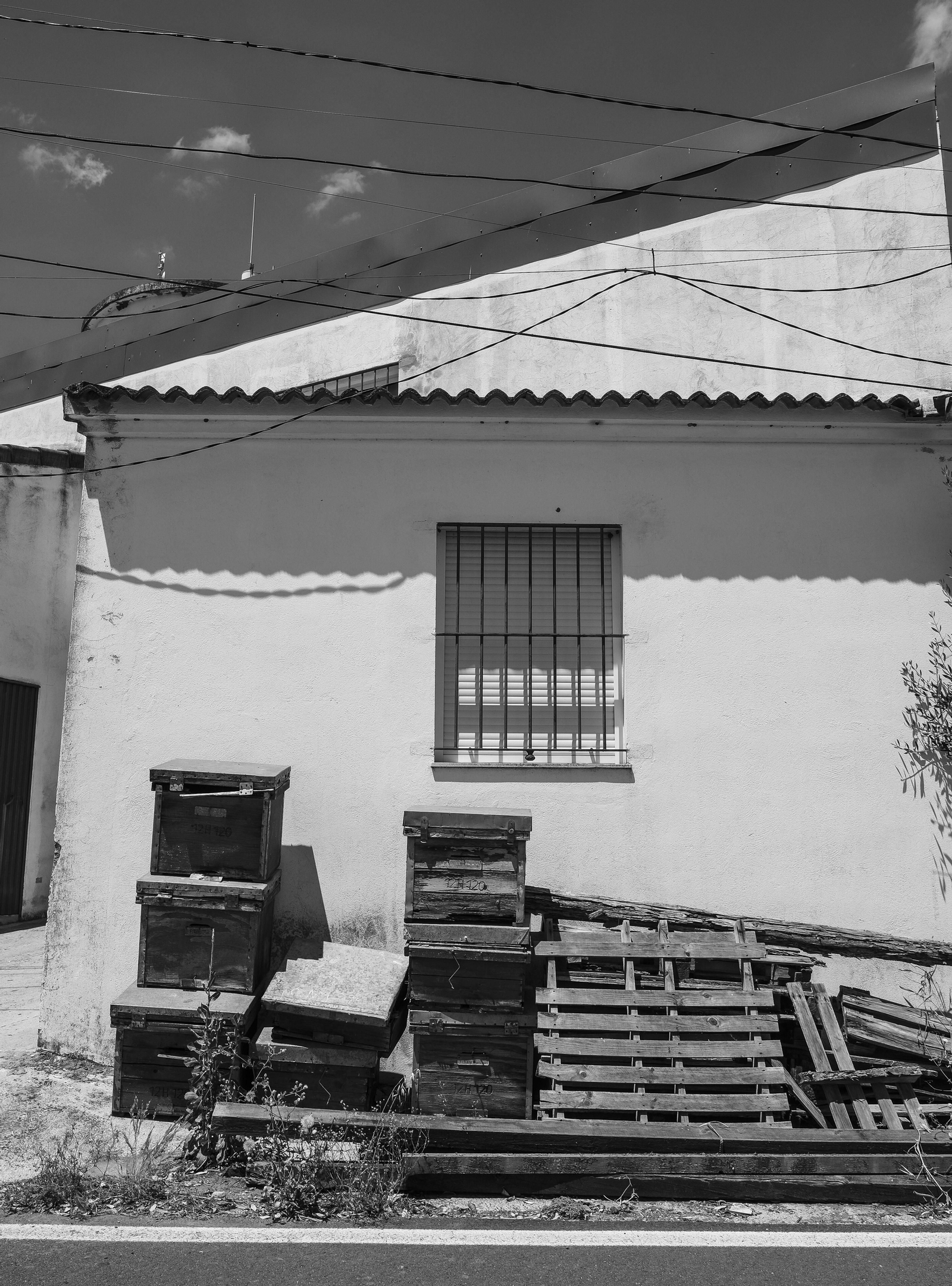 Berrocal. Rescoldos de alegría