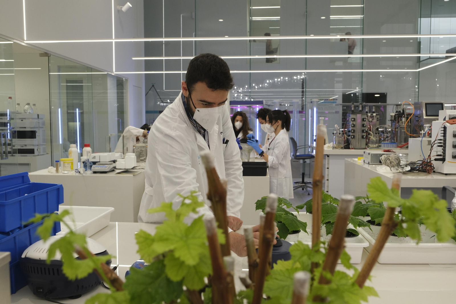 Fotogalería Kimitec-Primafor