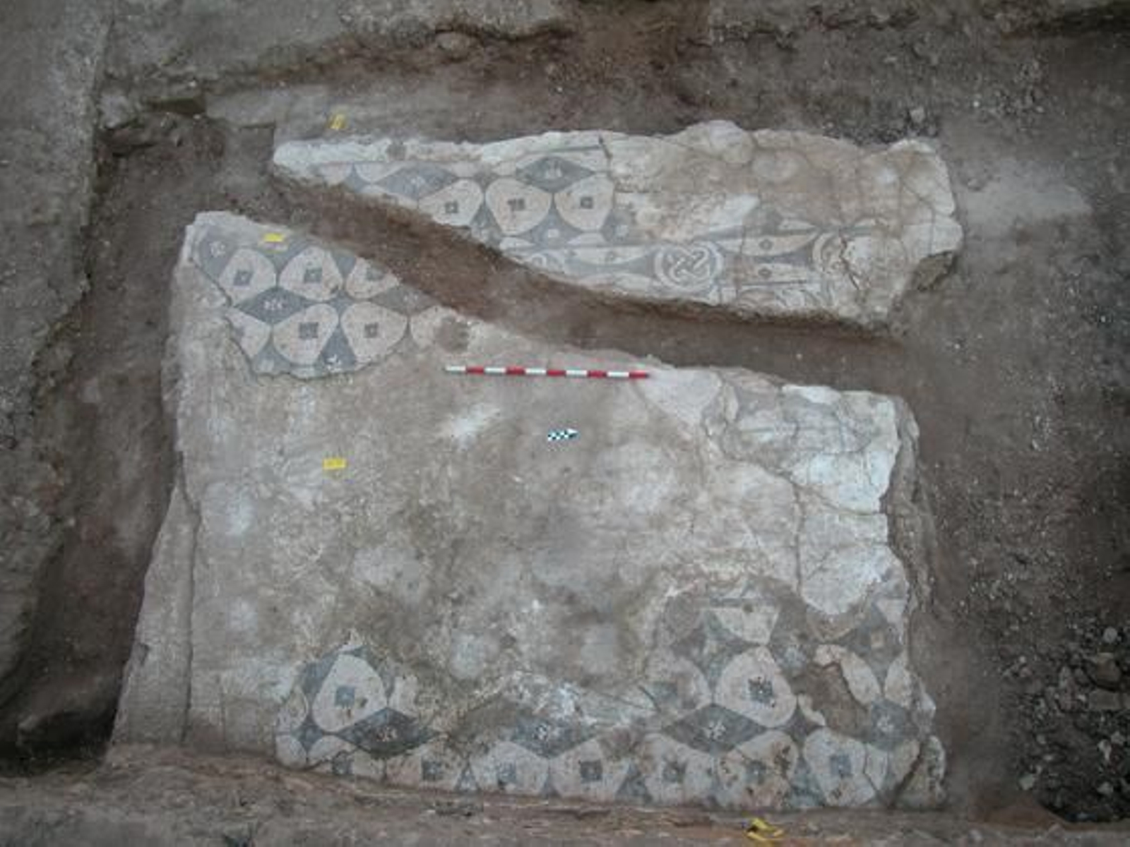 Restos hallados en la Casa del Sigma.

Foto: Diario de Sevilla