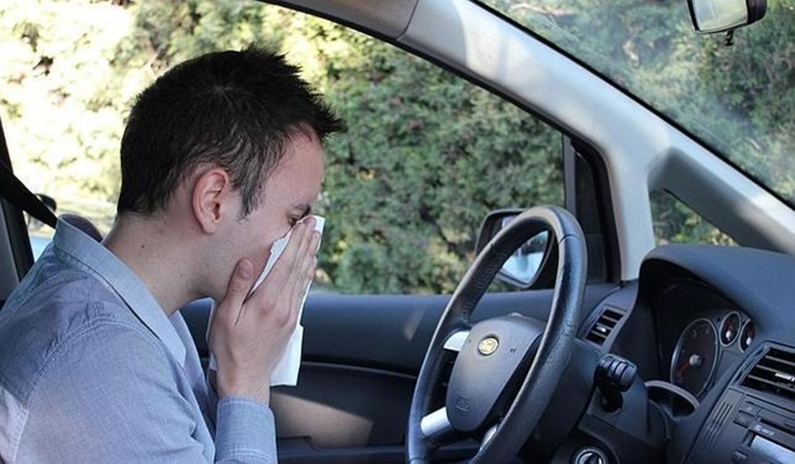 Estornudos, ojos llorosos y moqueo afectan negativamente a la conducción