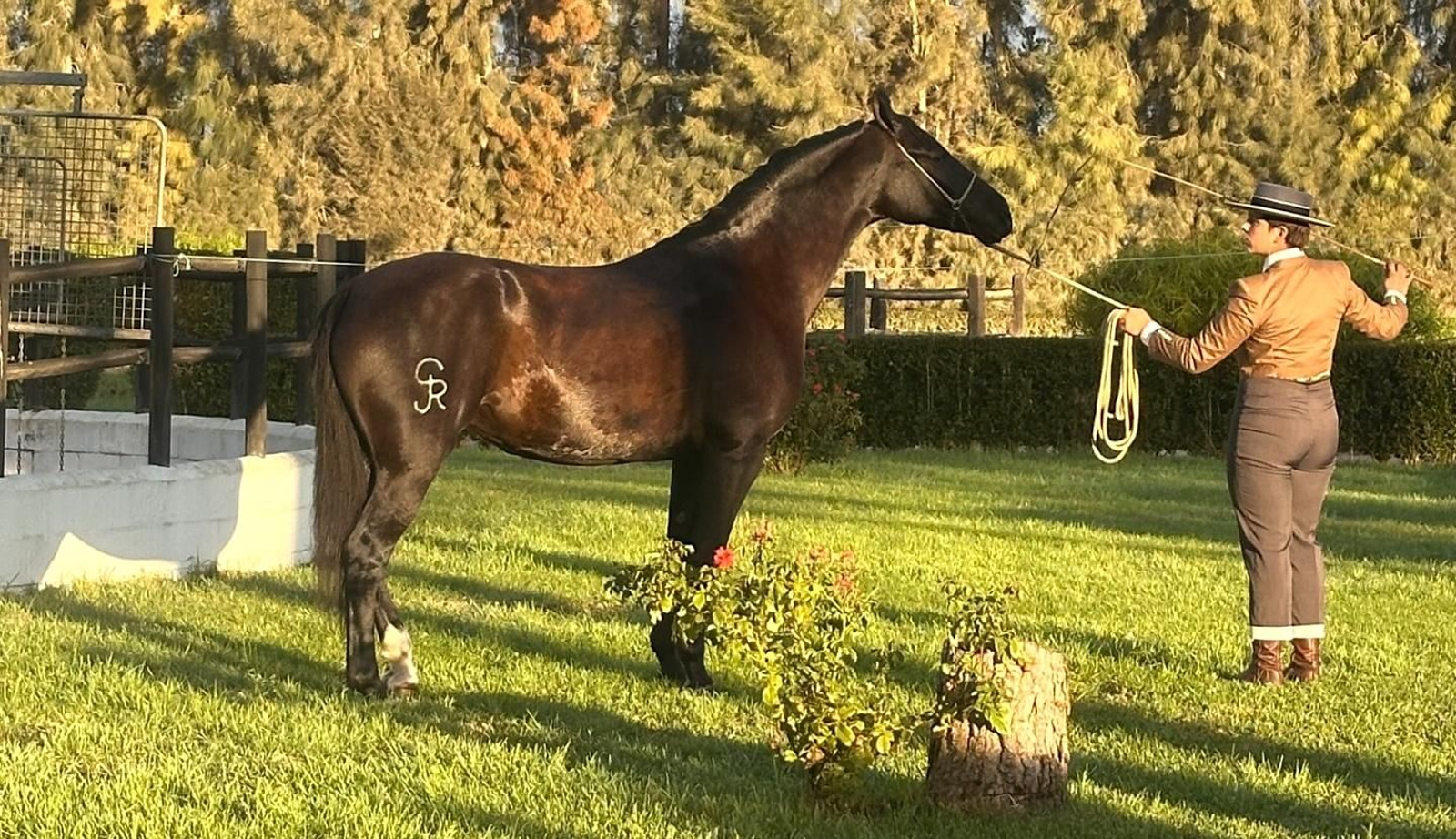 Un hito en la historia de esta raza y en el calendario ecuestre andaluz que pone a Huelva como protagonista