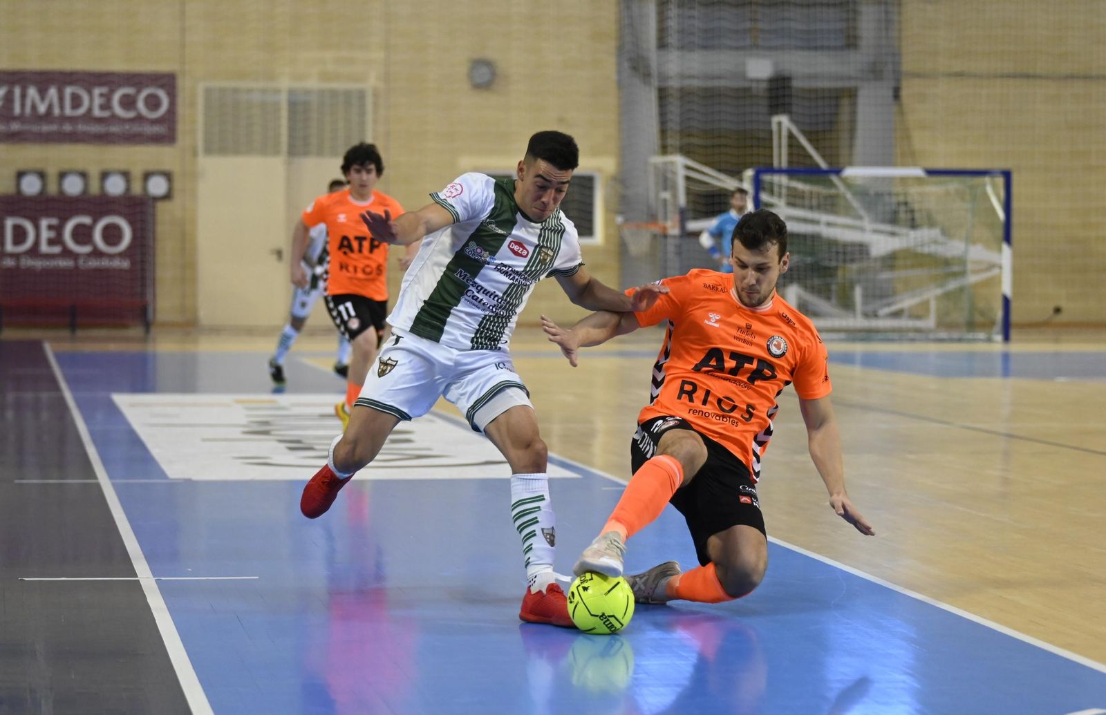 Las mejores fotos del ambiente en Vista Alegre para el Córdoba Futsal - Ribera Navarra