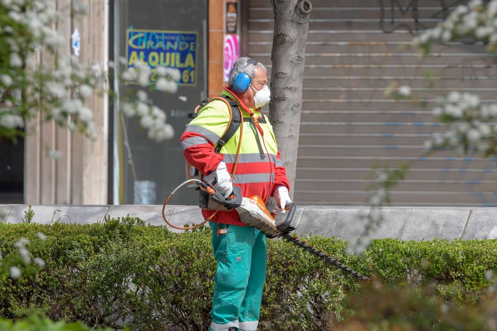 Limpieza en autobuses y poco tráfico en Granada por el coronavirus