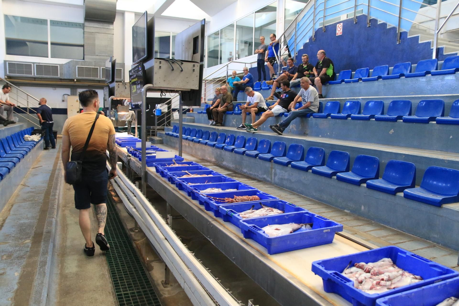 Vea cómo se descargan y se venden en la lonja la Gamba Roja de Almería