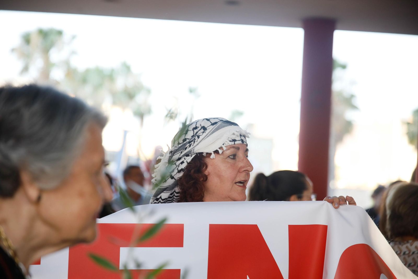 Imágenes de la manifestación en Almería por el genocidio en Palestina