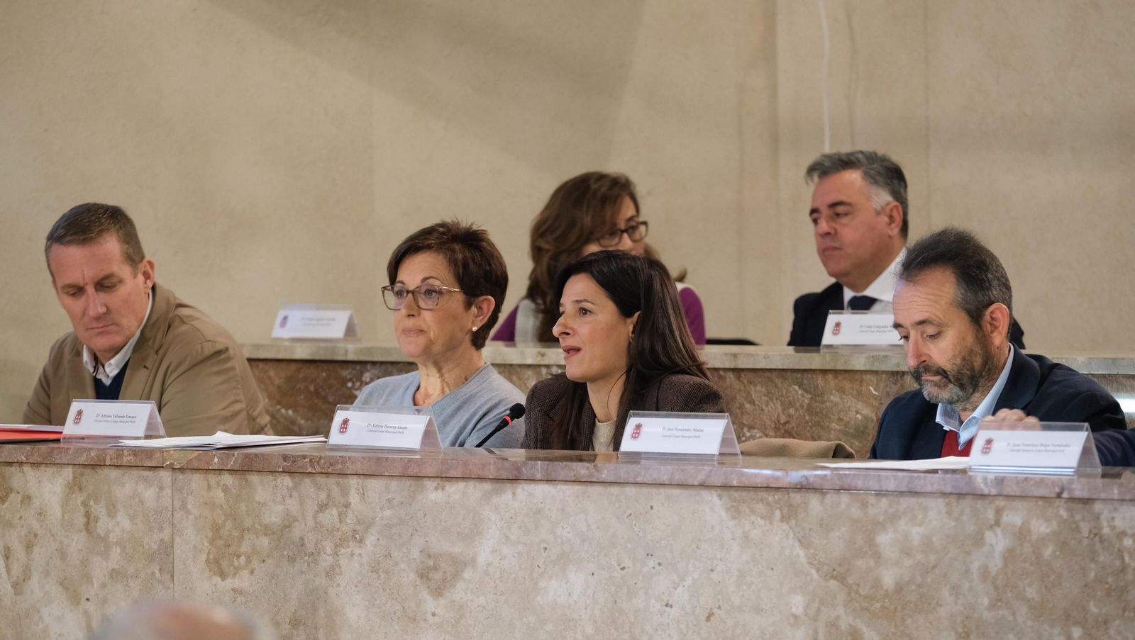 Imágenes del Pleno del Ayuntamiento de Almería