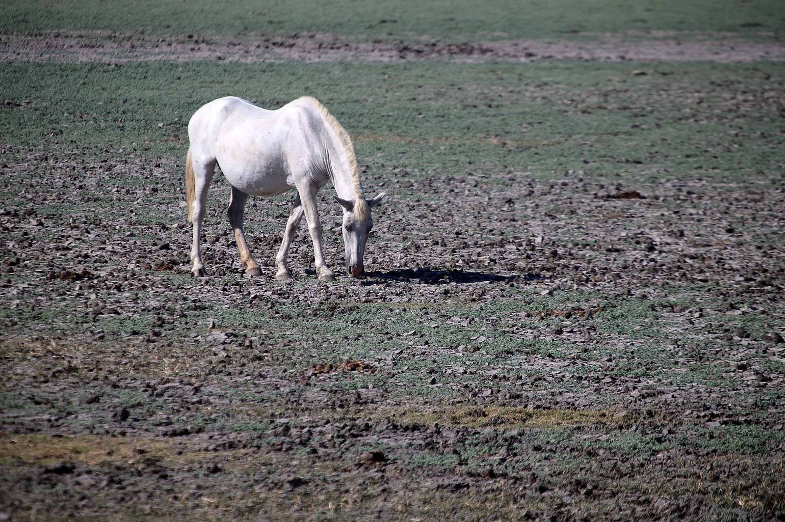 Imágenes del sábado 19 de agosto en Huelva