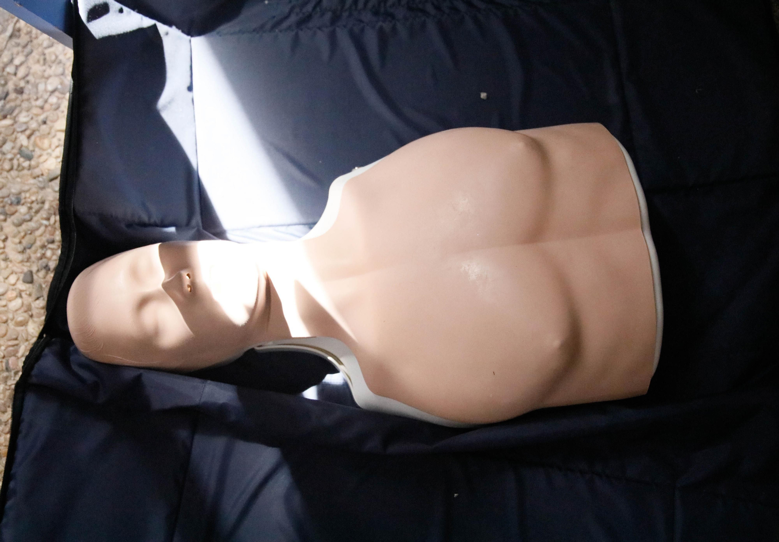 IV edición de la feria Aula de la UAl, en imágenes