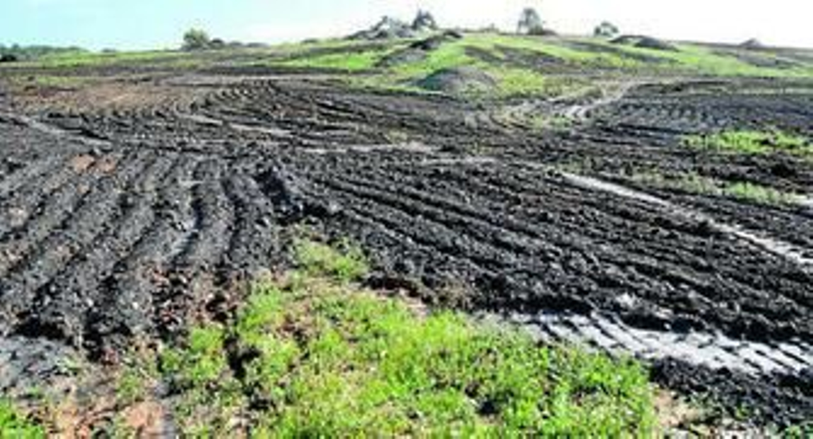 Cenizas de biomasa ya esparcidas sobre el terreno, listo para la siembra, junto al cruce de la N-435 que conduce hasta de pedanía de Navahermosa de Beas.