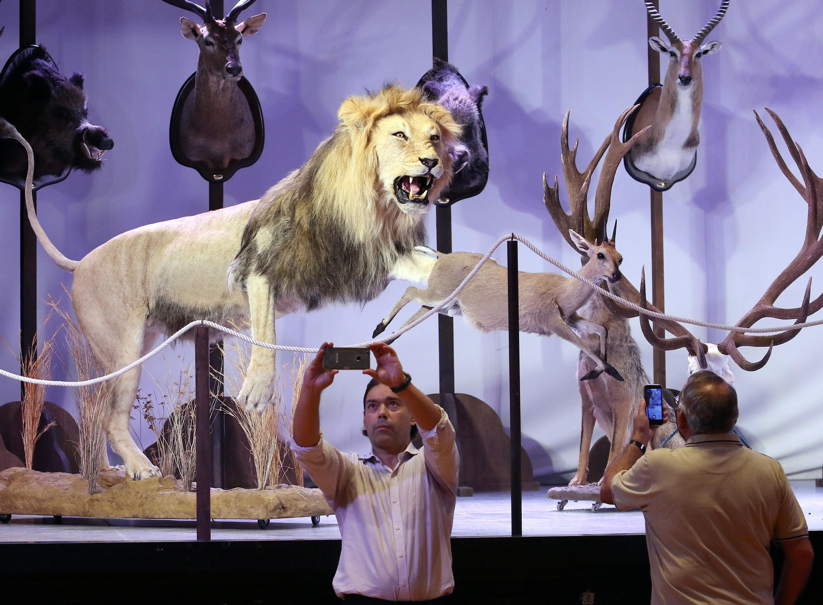 Inauguración de Intercaza 2017