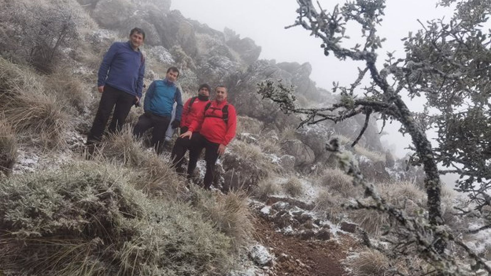 Nieve en el Camino del torreón.