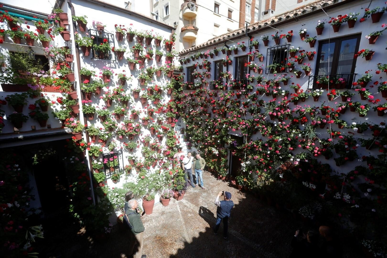 Las mejores imágenes del primer día de Patios en Córdoba