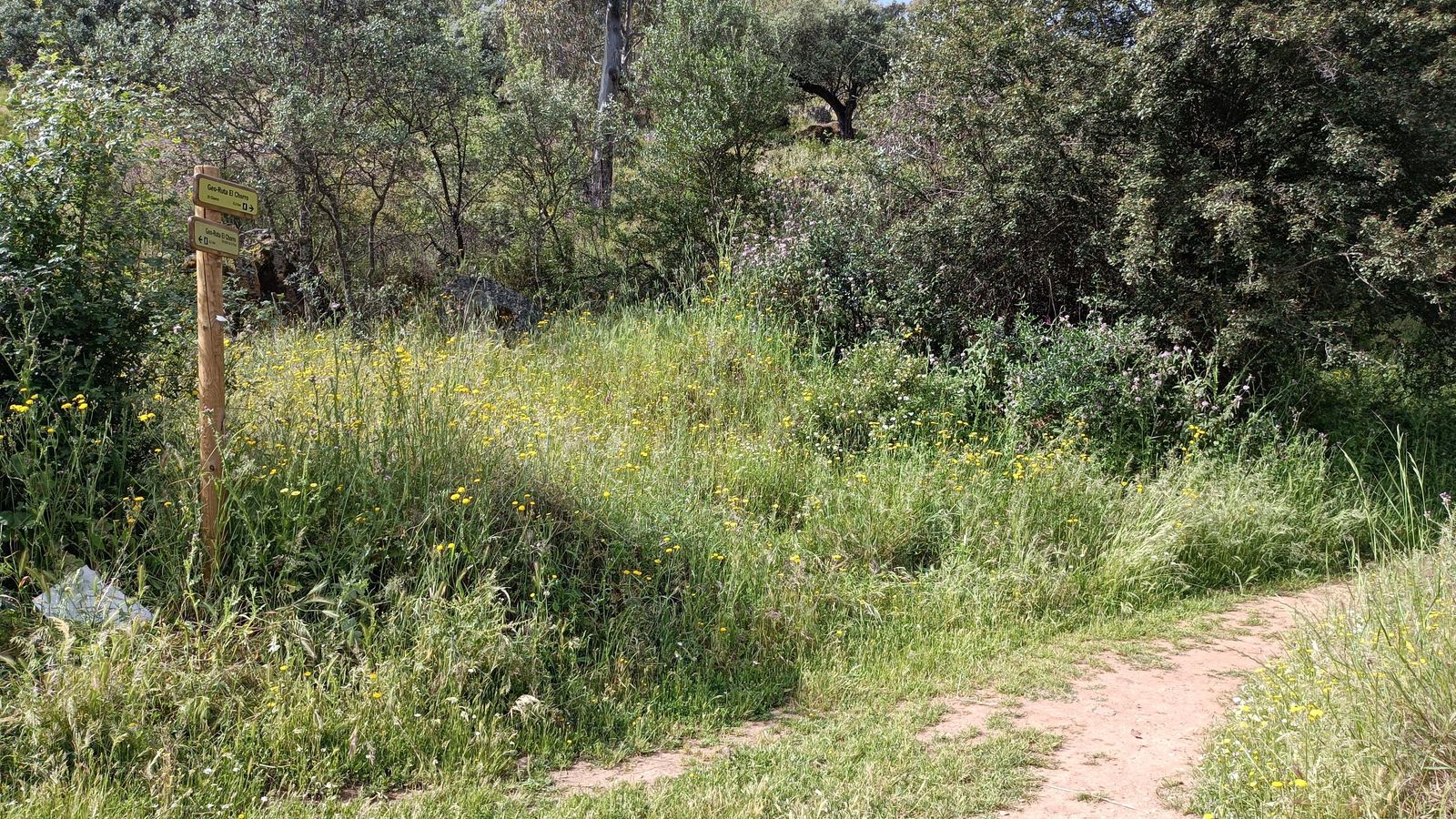 Justo al pasar el arroyo, vemos un poste que nos indica tomar el camino estrecho de la derecha