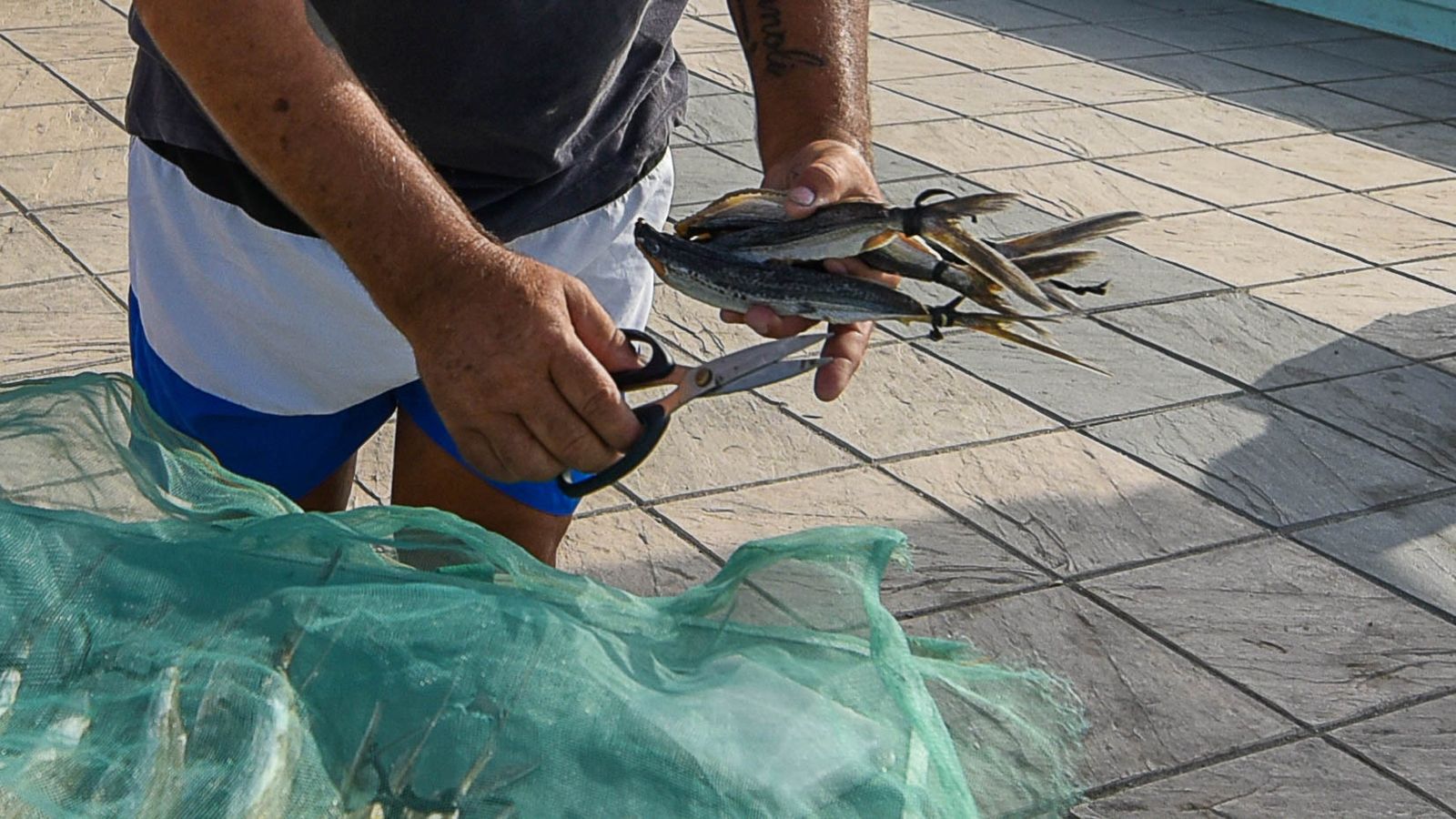 Las fotos de un puesto de Volaores