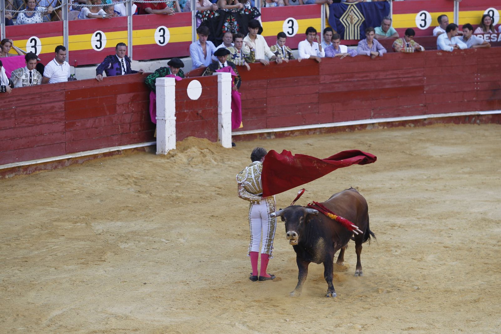 Fotogalería novillada Escuela Taurina de Almería. Feria de Almería 2019